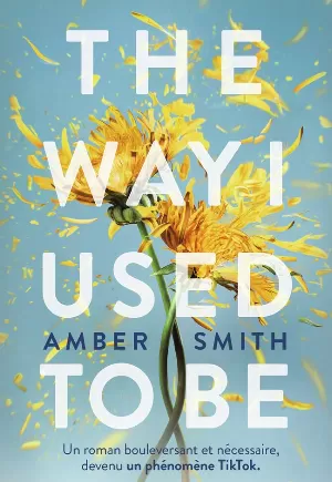 Amber Smith – The Way I Used to Be